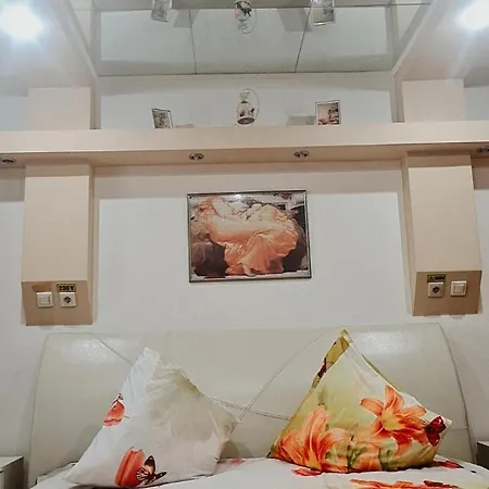 Guest house Pensiunea King Timisoara