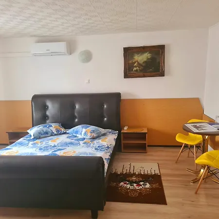 Guest house Pensiunea King Timisoara