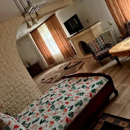 Pensiunea King Guest house Timisoara