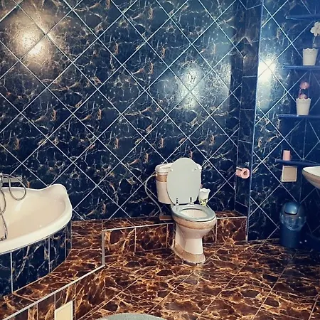 Pensiunea King Тімішоара