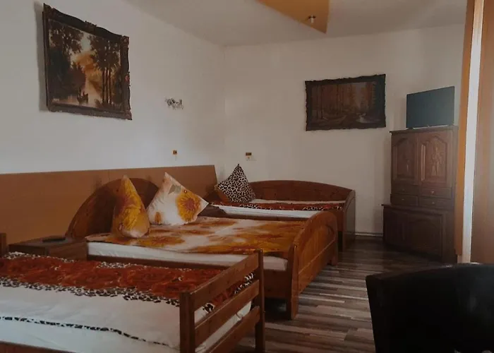 Pensiunea King Guest house 3*