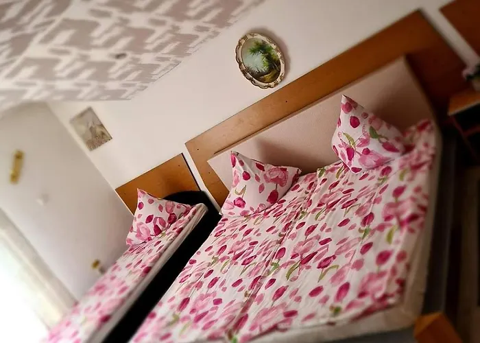 Pensiunea King Guest house Timisoara