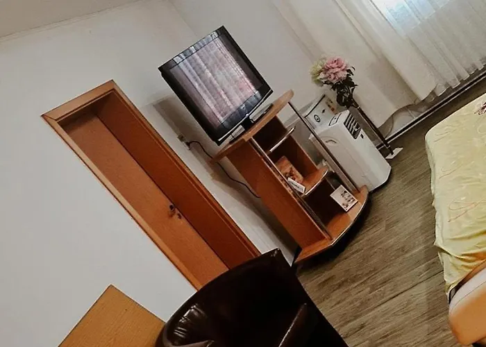 Pensiunea King Guest house