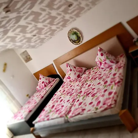 Pensiunea King Penzion Temešvár