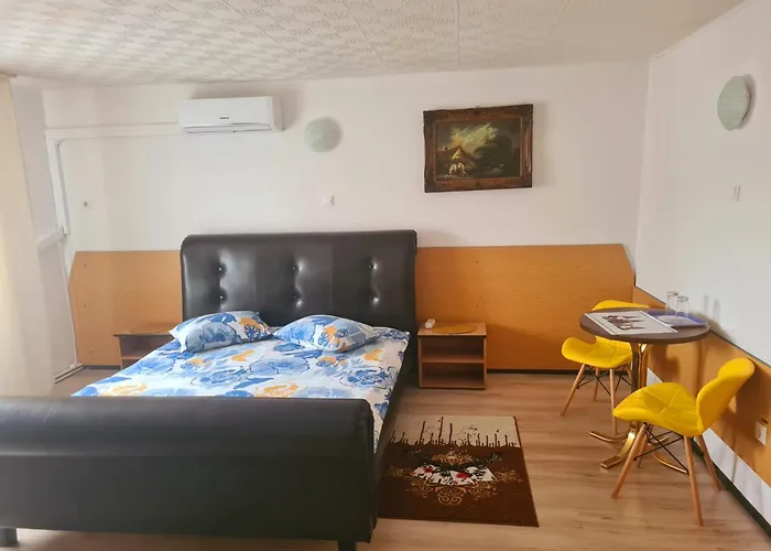 Penzion Pensiunea King Temešvár