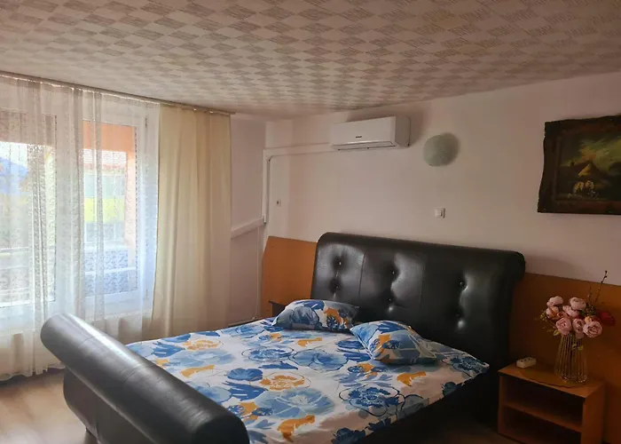 Pensiunea King Penzion