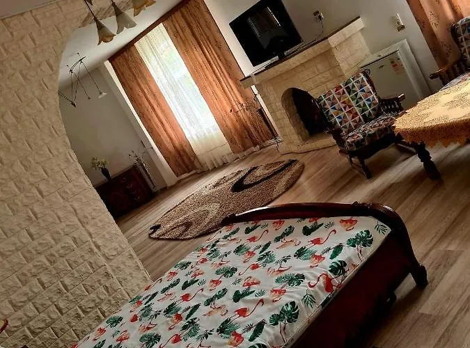 Pensiunea King Penzion Temešvár