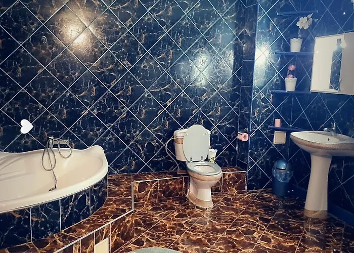 Pensiunea King Temešvár